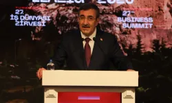 Cumhurbaşkanı Yardımcısı Cevdet Yılmaz'dan Fon Soruşturması Açıklaması