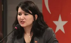 Yeni Partili Vekil Gökçe Gökçen, 'Ailem Güvende' Operasyonlarından Rahatsız Oldu