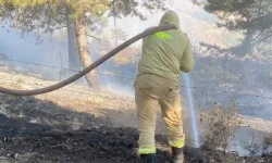 Kahramanmaraş'ta Çıkan Orman Yangını Kontrol Altında
