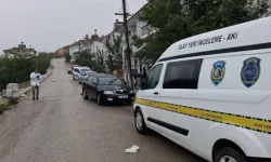 Karabük'te Otomobilinden İndikten Sonra Yere Düşen Şahıs Öldü