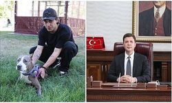 'Köpeğe Tekme Attı' İddiası... Kaymakam ve Koruma Görevlisiyle İlgili Soruşturma