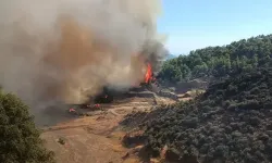 Antalya Kumluca’da Orman Yangını
