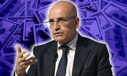 Mehmet Şimşek: Dünya Bankası'ndan Tarımsal Gıda Sektörüne 750 Milyon Dolar