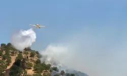 Balıkesir Sındırgı'da Korkutan Anlar, Rüzgarla Ağaçlara Sıçradı