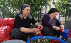 Adana'da Salça Mesaisi Başladı