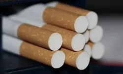 Dünya Sağlık Örgütü: Tütün Kullanımı Kısırlığa Yol Açıyor