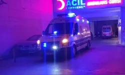 Siirt'te Sulama Havuzuna Giren Kardeşlerden Biri Öldü