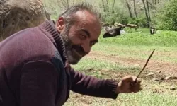 Sivas'ta Yıldırım İsabet Eden Çoban Öldü