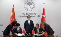 İbrahim Yumaklı: Rusya, Türkiye'ye Gübre İhracatındaki Kısıtlamaları Kaldıracak