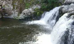 Tokat'tan Acı Haber... Dereye Giren 2 Kardeş Suda Kayboldu