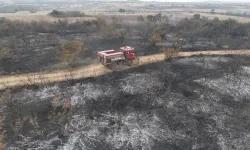 Edirne'de Çıkan Anız Yangını, Kaplumbağalar ve Yabani Hayvanları Etkiledi