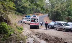 Sakarya'da Kestane Toplamak İçin Girdiği Ormanda Ölü Bulundu