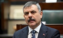 Türkiye Genelinde Sokak Hayvanlarını Toplama Süreci Tamamlandı