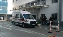 Batman'da Halı Silkelerken 8'inci Kattan Düşen Kadın Öldü