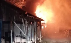 Bursa’da Hayvan Çiftliği Alevlere Teslim Oldu