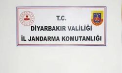 Havadan Ve Karadan Dev Operasyon: Yasaklı Madde Ekim Alanları Temizlendi
