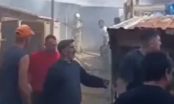 İstanbul'da Ahırda Çıkan Yangında 24 Büyükbaş Hayvan Telef Oldu