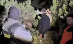 İstanbul'da Gittikleri Ormanda Kaybolan 2 Kişi Saatler Sonra Bulundu