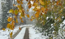 Karabük'te Sezonun İlk Kar Yağışı Gerçekleşti