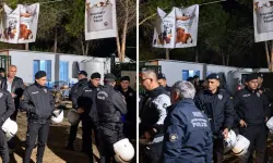Kampüste Gece Yarısı Dehşeti: Ege Üniversitesi'nde 200 Köpek Biber Gazıyla Toplatıldı!