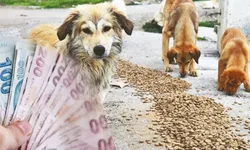 Milyonluk Cezalar Ve Tutuklamalar Var