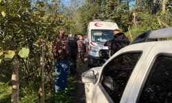 Ordu'da Yol Verme Kavgası: Oğul ve Anne İki Gün Arayla Öldürüldü