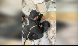 İstanbul’da Suç Örgütlerine Dev Şafak Operasyonu: "Çirkinler" Ve "Casperlar" Çetelerine Dokuz Gözaltı