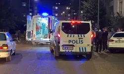 Şanlıurfa'da Husumetli Ailelerin Kavgası: 2 Yaralı
