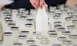 Mesleki Yeterlilik Belgeli Çalışanla Toplanan Çiğ Süte Ek Destek