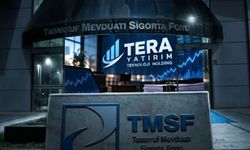 TMSF, Tera Yatırım Teknoloji Holding'e Kayyum Olarak Atandı
