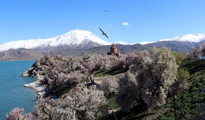 Akdamar Adası'nda '3'üncü Badem Çiçeği Festivali' başladı