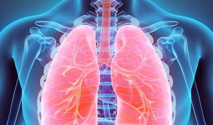 Hava Kirliliğine Karşı Akciğeri C Vitamini Korur