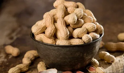 Günde 60 Gram Yer Fıstığı Beyin Fonksiyonlarını Güçlendiriyor