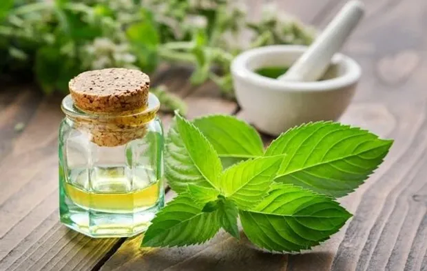 Nane Mucizesi Sindirim Ve Ağız Sağlığını Destekliyor