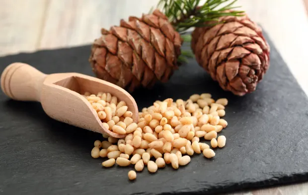 Çam Fıstığı Tüketimi Sonrası Çam Sendromu Tehlikesi! Uzmanlardan Kritik Uyarı