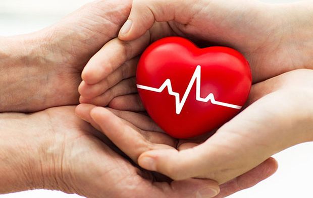 Kalp Sağlığınızı Destekleyen 8 Takviye ve Etkileri