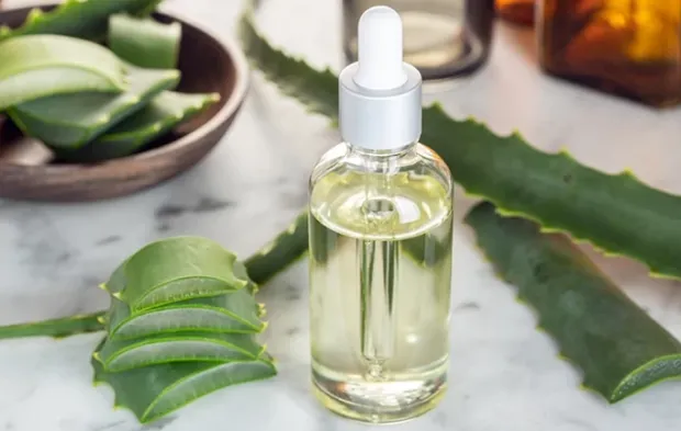 Aloe Vera Yağı Cilt Sorunlarına Çözüm Sunuyor