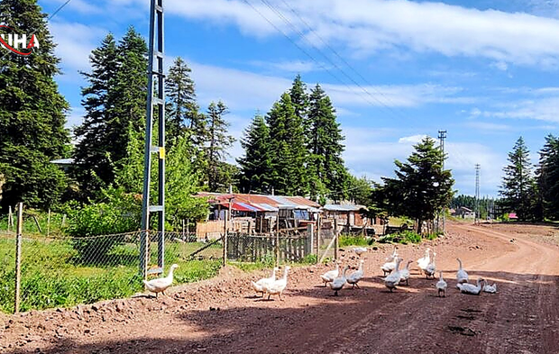 Gerede’nin Saklı Cenneti: Urumşah Yaylası