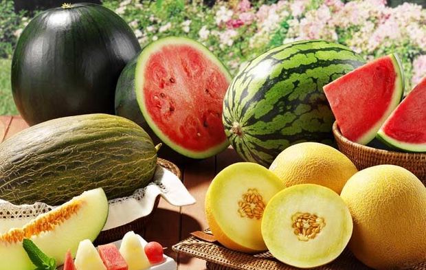 Kavun Ve Karpuz  Sağlığa Çift Yönlü Etkisi Şaşırtıyor