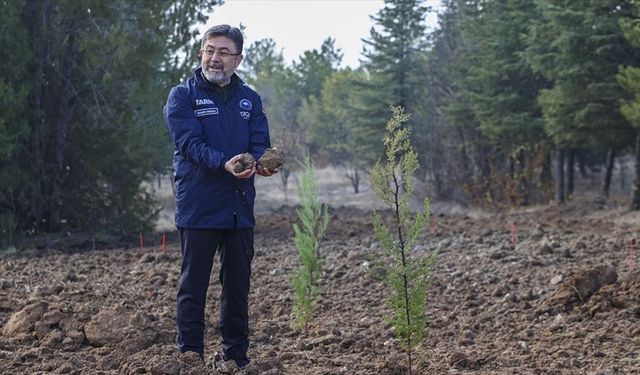 Tarım ve Orman Bakanı Yumaklı'dan ata tohumu mesajı