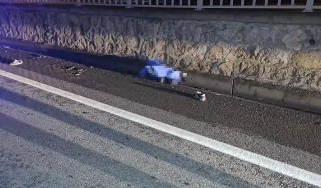 Alkollü sürücünün çarptığı yaya hayatını kaybetti