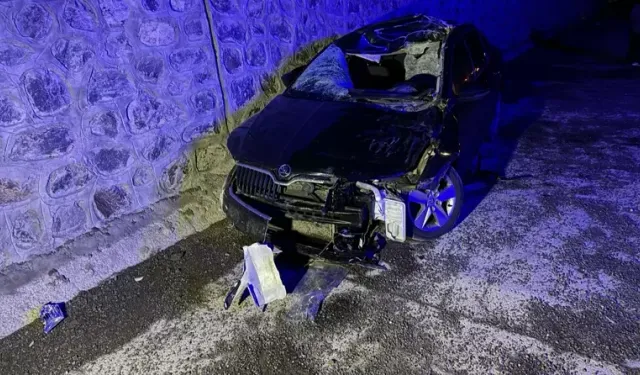 Bingöl'de otomobil ata çarptı: Kazada 1 kişi hayatını kaybetti