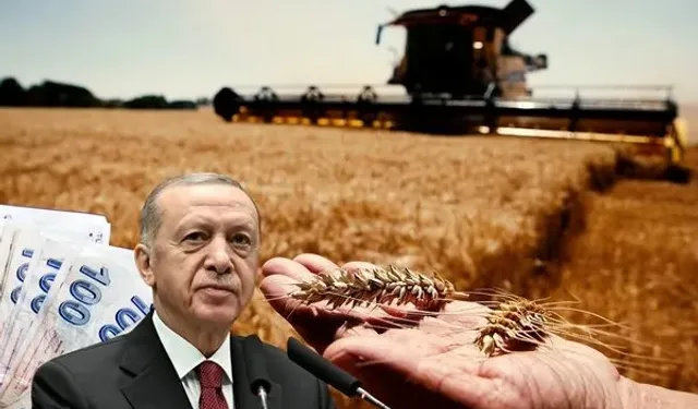 Çiftçiye yüzde 70 ek destek! Cumhurbaşkanı Erdoğan açıkladı! 'KDV'den muaf...'