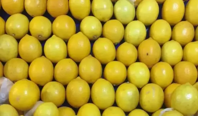 Yasaklı madde tespit edilen limonlarla ilgili üretici ve ihracatçı firmalar hakkında soruşturma başlatıldı