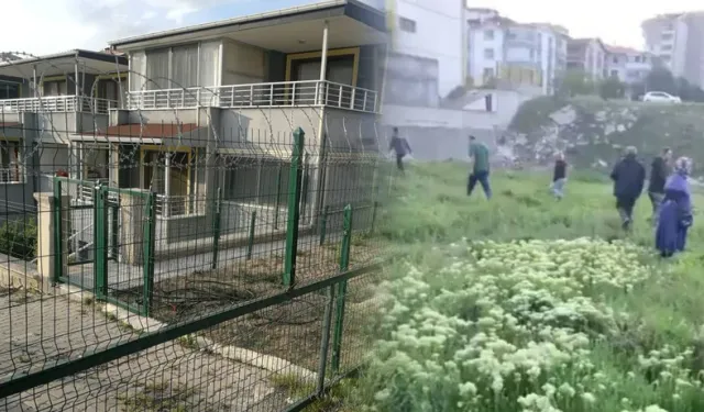Ankara'yı Ayağa Kaldıran Katliam: Cani 'Doktor' Yavru Kedi Ve Köpekleri Acımasızca Katletti