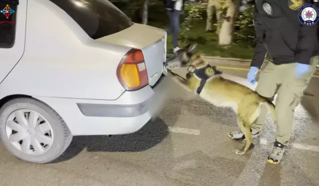Otomobildeki 39 kilo uyuşturucuyu ‘Linda’ buldu