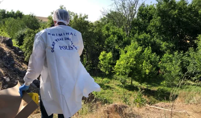Ağaçlık Alanda Korkunç Olay! Görenler Dehşete Düştü