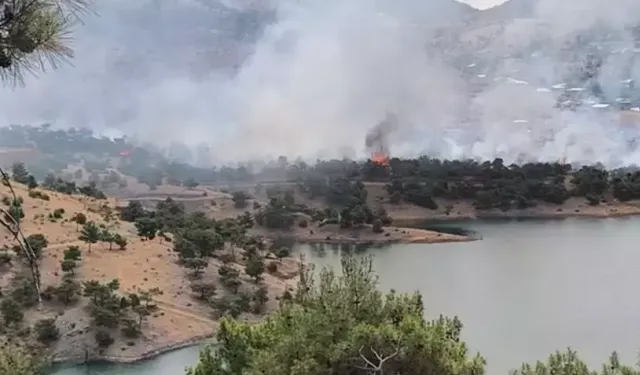 Adıyaman’da orman yangını