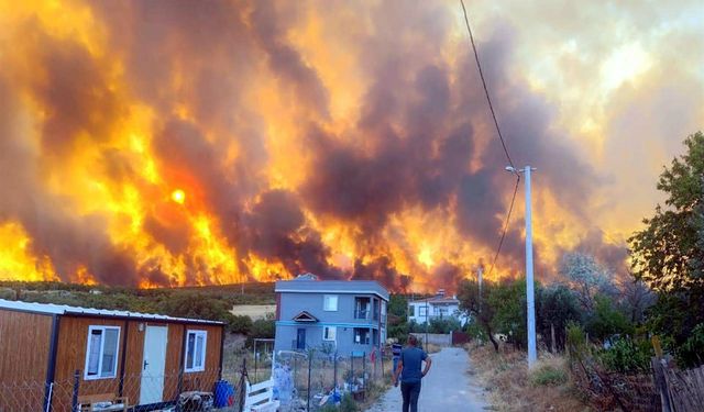 Tekirdağ'da orman yangını
