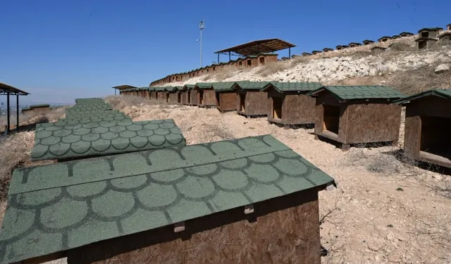 Batman'da 170 dönümlük hayvan bakım evi tepki çekti